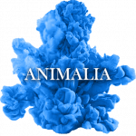 matassa-blu-animalia-new