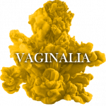 matassa-gialla-vaginalia-new