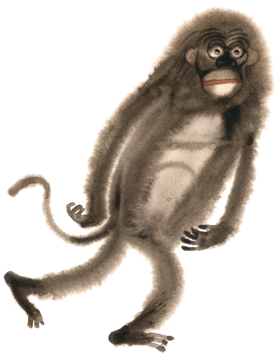 Disegno scimmia