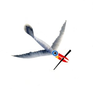 uccello pinocchio014