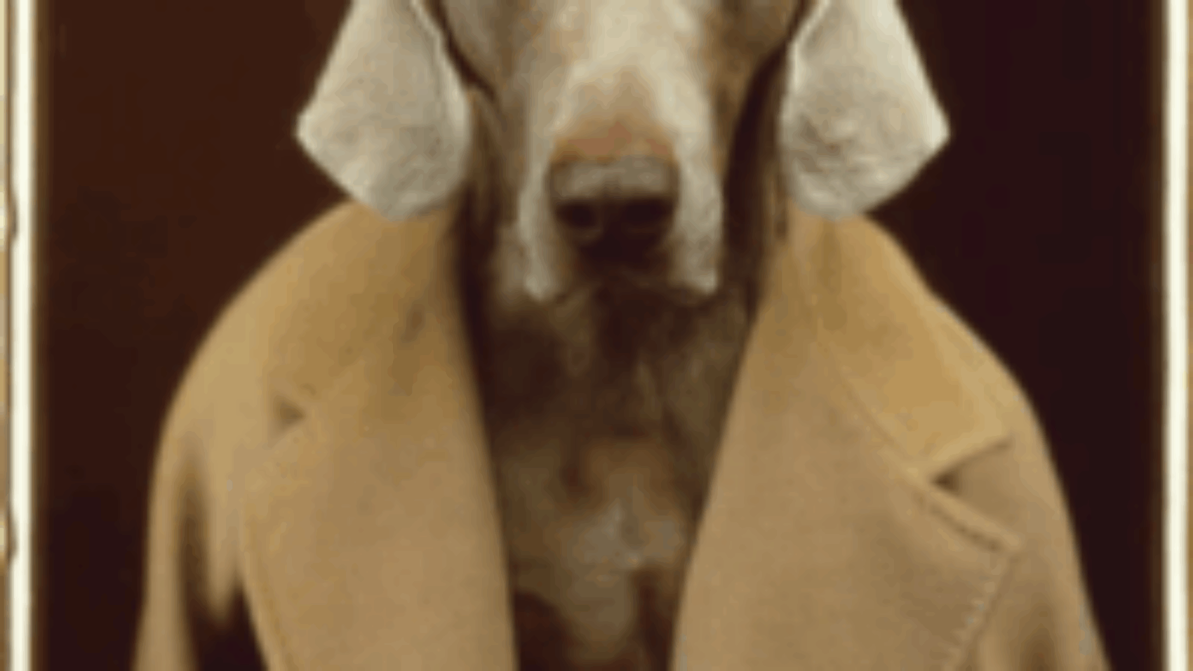 William Wegman